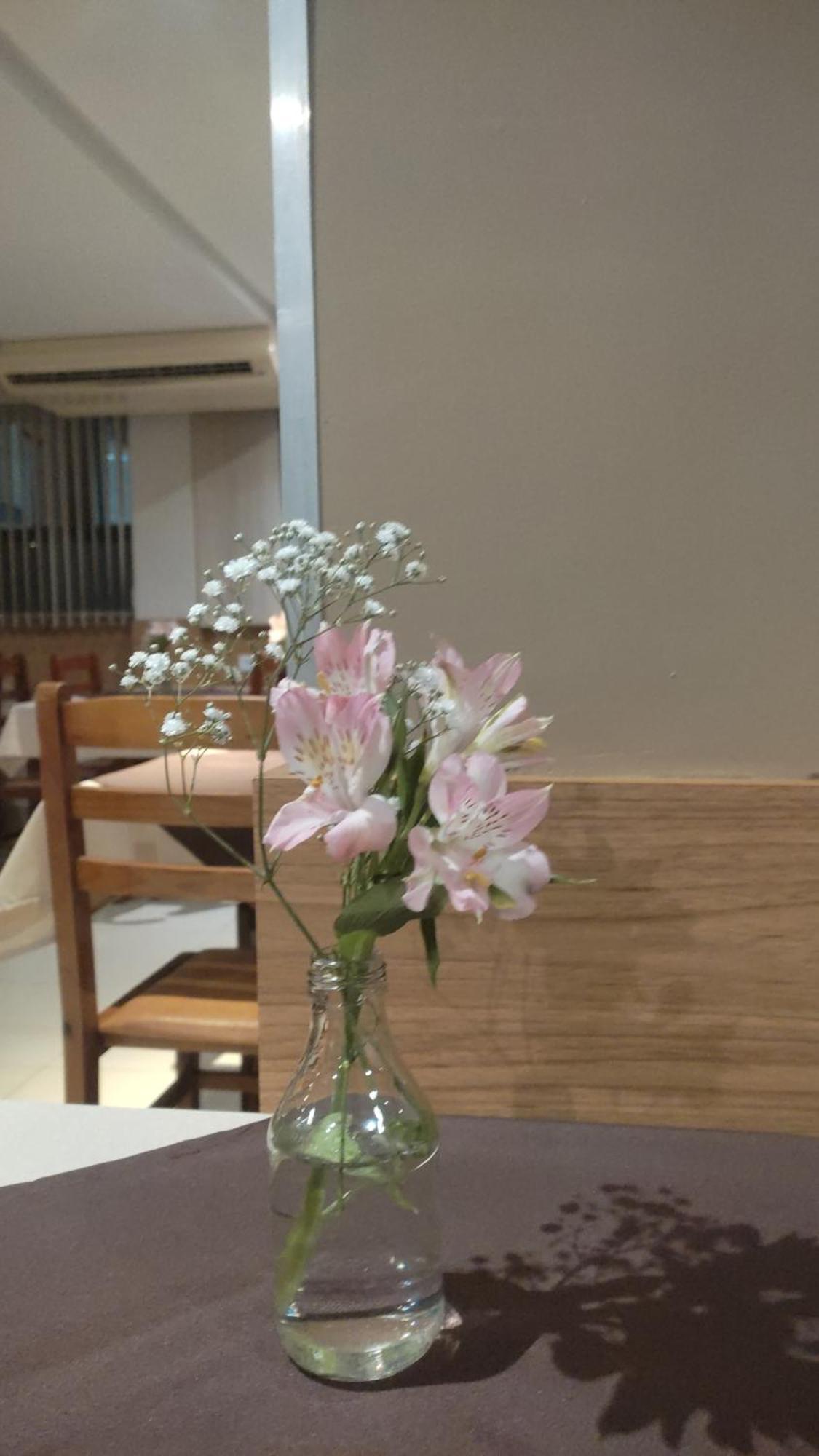 伊利亚贝拉公园酒店 Núcleo Bandeirante 外观 照片